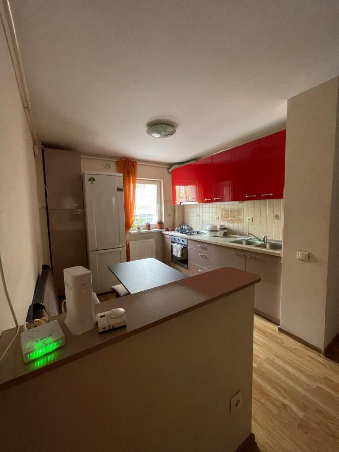 Cerna Apartament Leilighet Braşov Eksteriør bilde