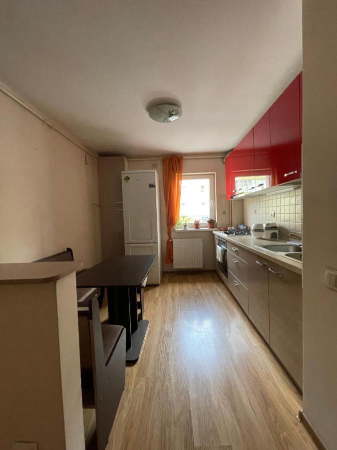 Cerna Apartament Leilighet Braşov Eksteriør bilde