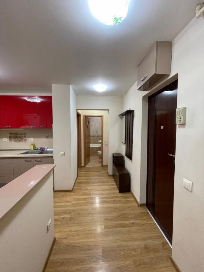 Cerna Apartament Leilighet Braşov Eksteriør bilde